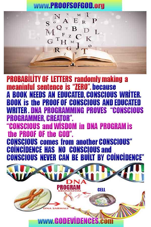 proofs of god, evidences of god, god-proofs, god-signs, god-evidences, god exists, god-real, god is real,god-exists, #god, #godreal, #godexists, #godproofs, #godevidences