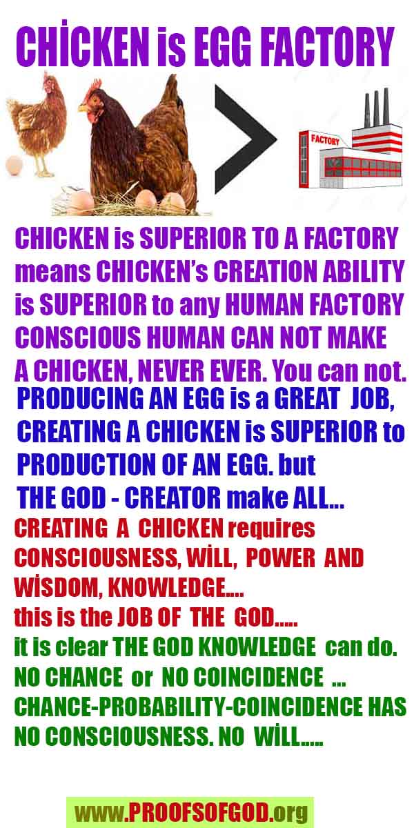  proofs of god, evidences of god, god-proofs, god-signs, god-evidences, god exists, god-real, god is real,god-exists, #god, #godreal, #godexists, #godproofs, #godevidences
