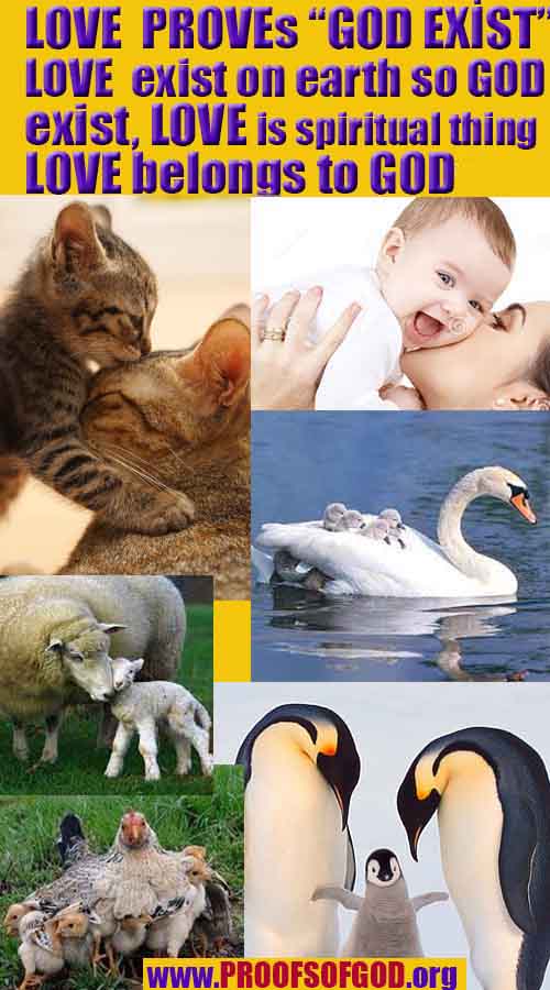 proofs of god, evidences of god, god-proofs, god-signs, god-evidences, god exists, god-real, god is real,god-exists, #god, #godreal, #godexists, #godproofs, #godevidences
