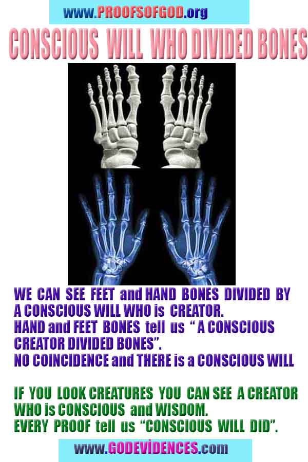 proofs of god, evidences of god, god-proofs, god-signs, god-evidences, god exists, god-real, god is real,god-exists, #god, #godreal, #godexists, #godproofs, #godevidences