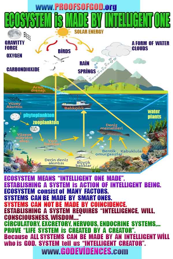 proofs of god, evidences of god, god-proofs, god-signs, god-evidences, god exists, god-real, god is real,god-exists, #god, #godreal, #godexists, #godproofs, #godevidences