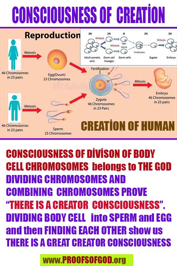 proofs of god, evidences of god, god-proofs, god-signs, god-evidences, god exists, god-real, god is real,god-exists, #god, #godreal, #godexists, #godproofs, #godevidences