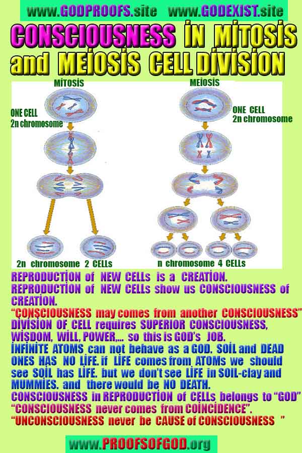 proofs of god, evidences of god, god-proofs, god-signs, god-evidences, god exists, god-real, god is real,god-exists, #god, #godreal, #godexists, #godproofs, #godevidences