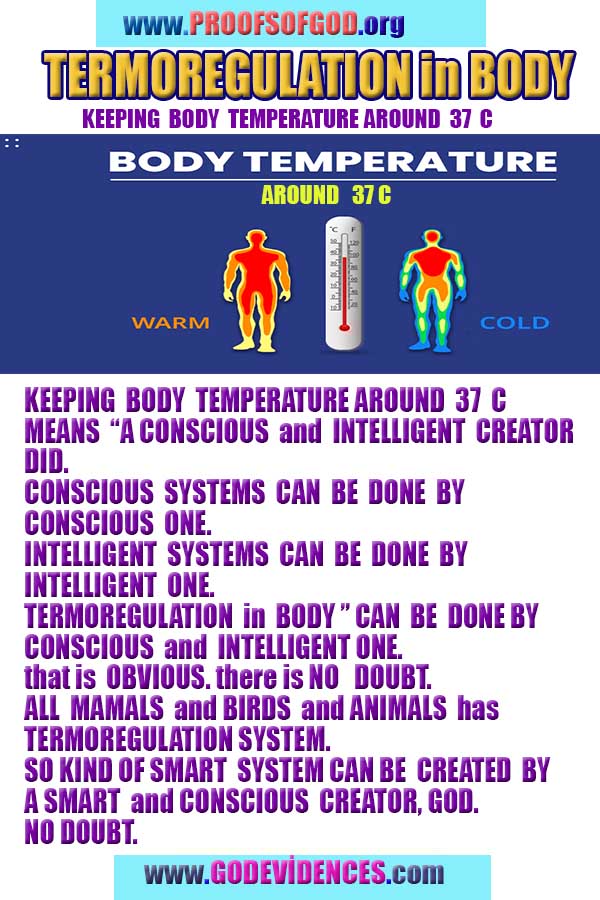  proofs of god, evidences of god, god-proofs, god-signs, god-evidences, god exists, god-real, god is real,god-exists, #god, #godreal, #godexists, #godproofs, #godevidences