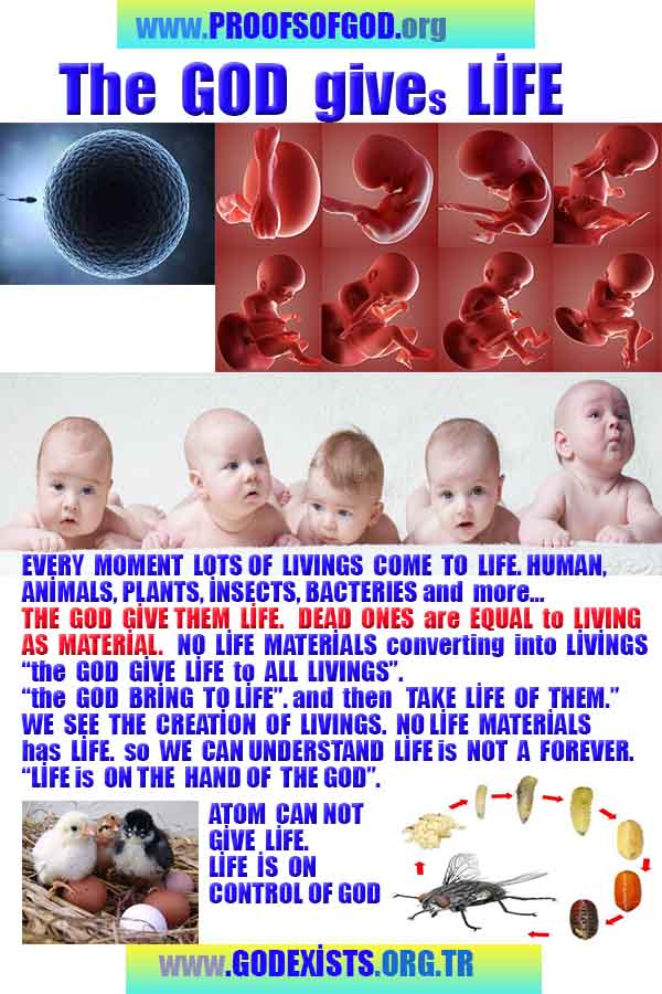 proofs of god, evidences of god, god-proofs, god-signs, god-evidences, god exists, god-real, god is real,god-exists, #god, #godreal, #godexists, #godproofs, #godevidences