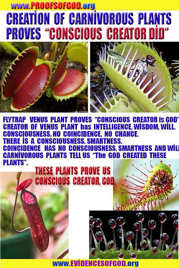 god proofs signs evidences, god exist, godreal, god is real, 上帝存在，上帝的证据，上帝的证据，上帝的迹象，
ईश्वर का अस्तित्व है, ईश्वर के प्रमाण, ईश्वर के प्रमाण, ईश्वर के लक्षण,
신은 존재한다, 신의 증거, 신의 증거, 신의 표징,
Бог существует, доказательства существования Бога, доказательства существования Бога, знаки Бога,
神は存在する、神の証拠、神の証拠、神のしるし