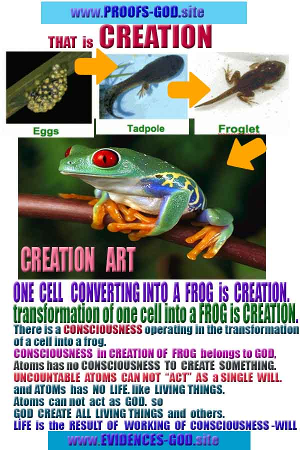 proofs of god, evidences of god, god-proofs, god-signs, god-evidences, god exists, god-real, god is real,god-exists, #god, #godreal, #godexists, #godproofs, #godevidences