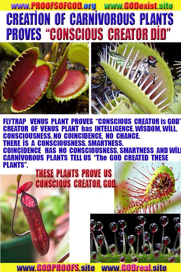 proofs of god, evidences of god, god-proofs, god-signs, god-evidences, god exists, god-real, god is real,god-exists, #god, #godreal, #godexists, #godproofs, #godevidences