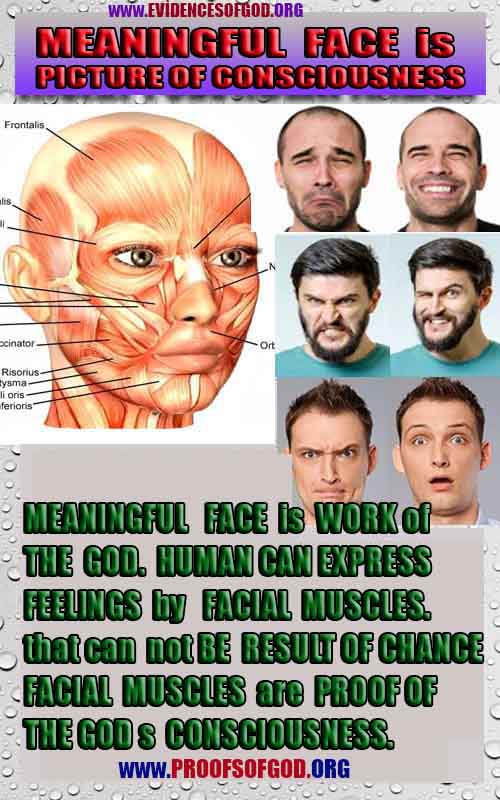  proofs of god, evidences of god, god-proofs, god-signs, god-evidences, god exists, god-real, god is real,god-exists, #god, #godreal, #godexists, #godproofs, #godevidences