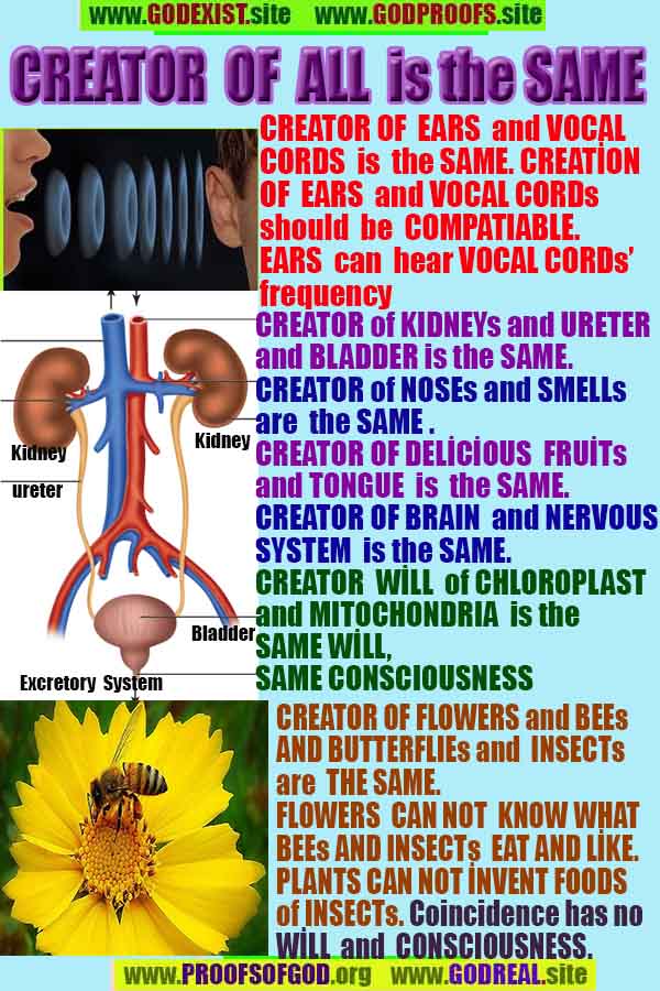 proofs of god, evidences of god, god-proofs, god-signs, god-evidences, god exists, god-real, god is real,god-exists, #god, #godreal, #godexists, #godproofs, #godevidences