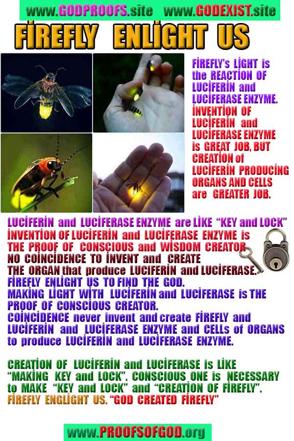 proofs of god, evidences of god, god-proofs, god-signs, god-evidences, god exists, god-real, god is real,god-exists, #god, #godreal, #godexists, #godproofs, #godevidences