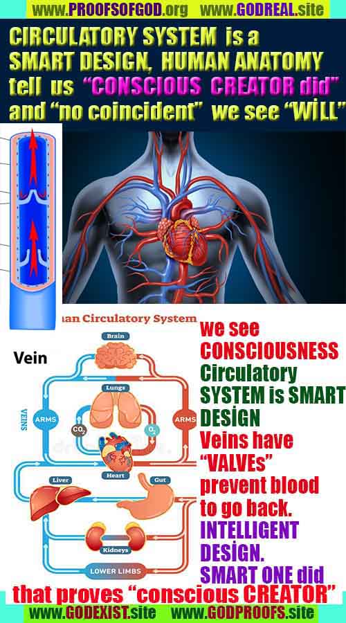 proofs of god, evidences of god, god-proofs, god-signs, god-evidences, god exists, god-real, god is real,god-exists, #god, #godreal, #godexists, #godproofs, #godevidences
