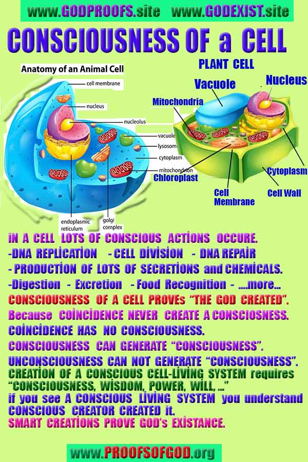proofs of god, evidences of god, god-proofs, god-signs, god-evidences, god exists, god-real, god is real,god-exists, #god, #godreal, #godexists, #godproofs, #godevidences