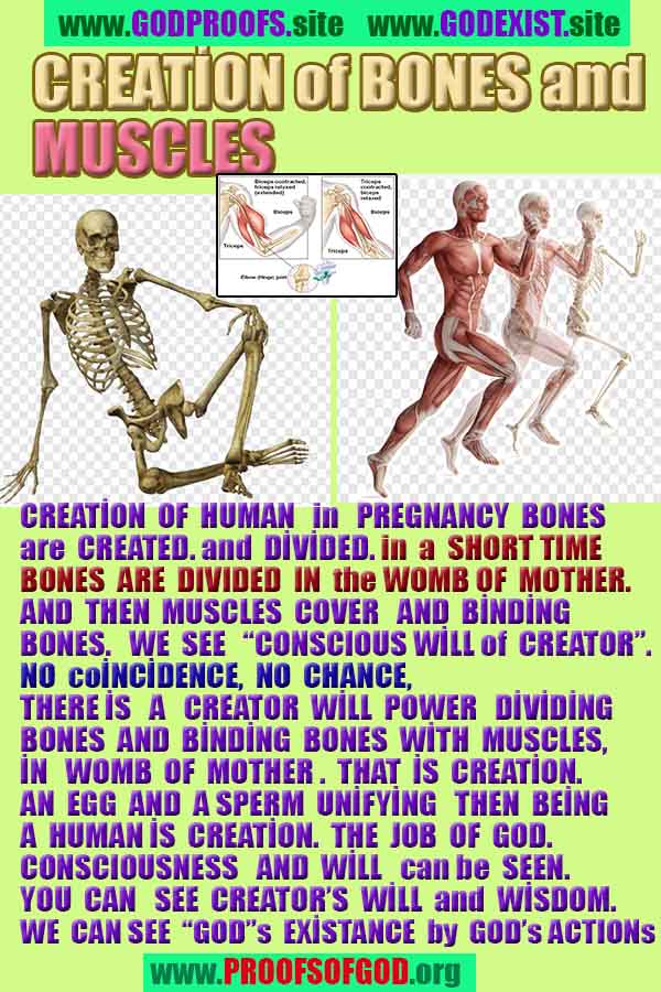 proofs of god, evidences of god, god-proofs, god-signs, god-evidences, god exists, god-real, god is real,god-exists, #god, #godreal, #godexists, #godproofs, #godevidences