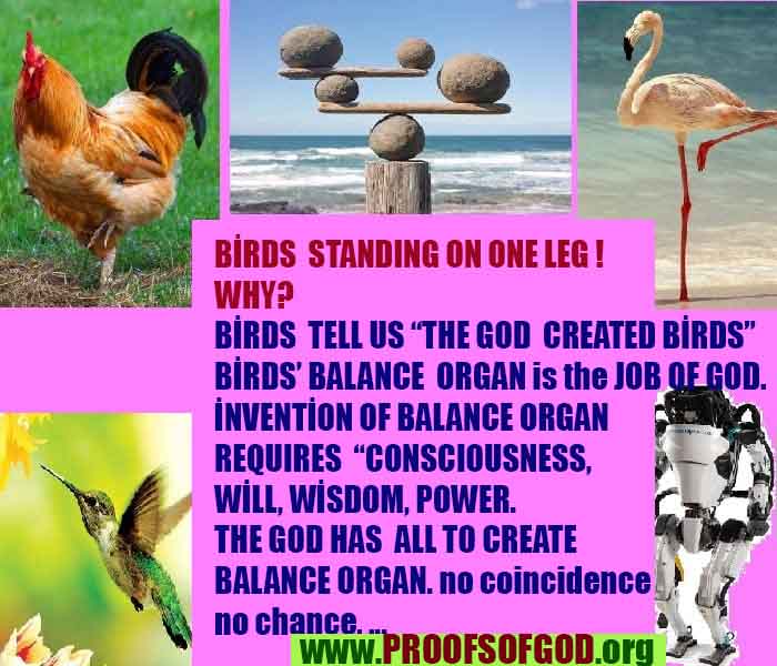 proofs of god, evidences of god, god-proofs, god-signs, god-evidences, god exists, god-real, god is real,god-exists, #god, #godreal, #godexists, #godproofs, #godevidences