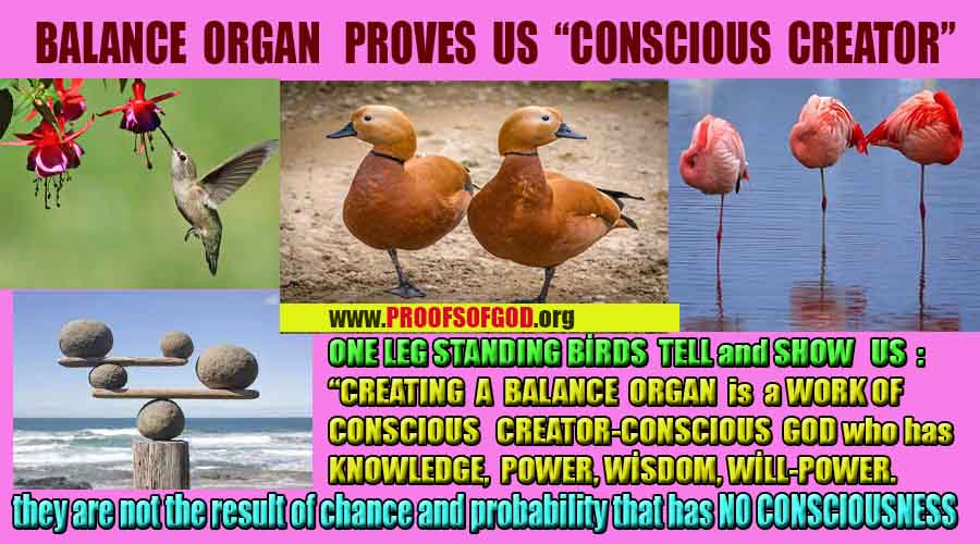 god proofs signs evidences, god exist, godreal, god is real, 上帝存在，上帝的证据，上帝的证据，上帝的迹象，
ईश्वर का अस्तित्व है, ईश्वर के प्रमाण, ईश्वर के प्रमाण, ईश्वर के लक्षण,
신은 존재한다, 신의 증거, 신의 증거, 신의 표징,
Бог существует, доказательства существования Бога, доказательства существования Бога, знаки Бога,
神は存在する、神の証拠、神の証拠、神のしるし