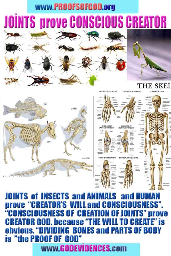 proofs of god, evidences of god, god-proofs, god-signs, god-evidences, god exists, god-real, god is real,god-exists, #god, #godreal, #godexists, #godproofs, #godevidences