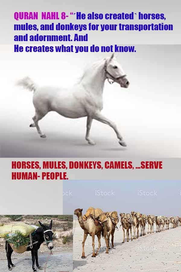  proofs of god, evidences of god, god-proofs, god-signs, god-evidences, god exists, god-real, god is real,god-exists, #god, #godreal, #godexists, #godproofs, #godevidences