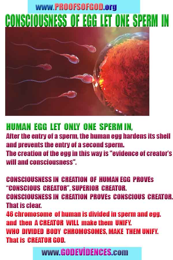 proofs of god, evidences of god, god-proofs, god-signs, god-evidences, god exists, god-real, god is real,god-exists, #god, #godreal, #godexists, #godproofs, #godevidences
