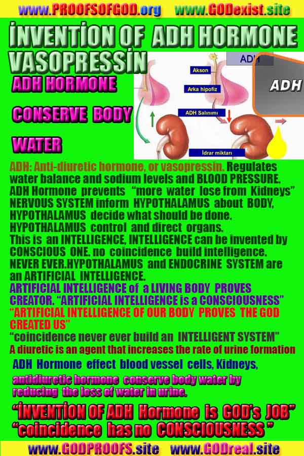 proofs of god, evidences of god, god-proofs, god-signs, god-evidences, god exists, god-real, god is real,god-exists, #god, #godreal, #godexists, #godproofs, #godevidences