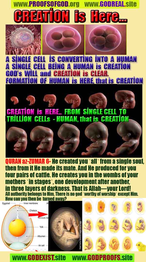 proofs of god, evidences of god, god-proofs, god-signs, god-evidences, god exists, god-real, god is real,god-exists, #god, #godreal, #godexists, #godproofs, #godevidences