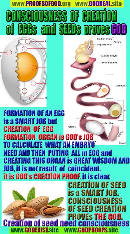 god proofs signs evidences, god exist, godreal, god is real, 上帝存在，上帝的证据，上帝的证据，上帝的迹象，
ईश्वर का अस्तित्व है, ईश्वर के प्रमाण, ईश्वर के प्रमाण, ईश्वर के लक्षण,
신은 존재한다, 신의 증거, 신의 증거, 신의 표징,
Бог существует, доказательства существования Бога, доказательства существования Бога, знаки Бога,
神は存在する、神の証拠、神の証拠、神のしるし