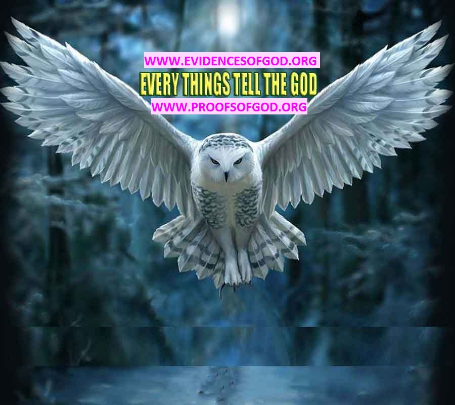  proofs of god, evidences of god, god-proofs, god-signs, god-evidences, god exists, god-real, god is real,god-exists, #god, #godreal, #godexists, #godproofs, #godevidences