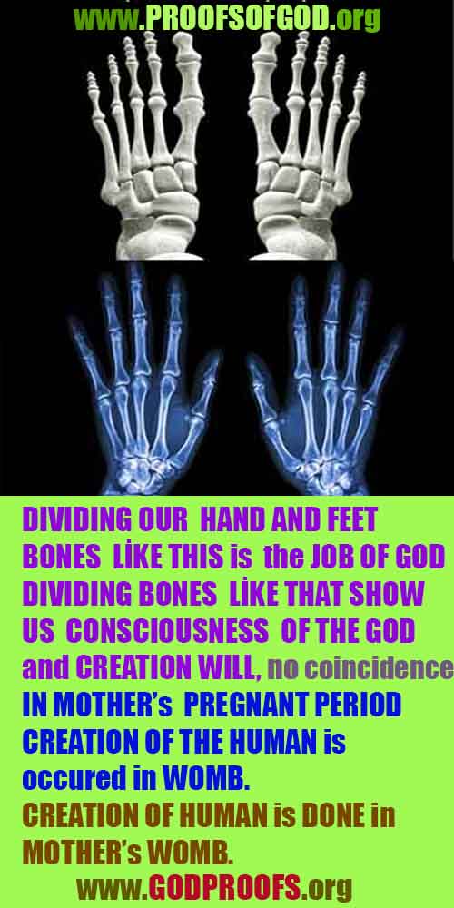 proofs of god, evidences of god, god-proofs, god-signs, god-evidences, god exists, god-real, god is real,god-exists, #god, #godreal, #godexists, #godproofs, #godevidences