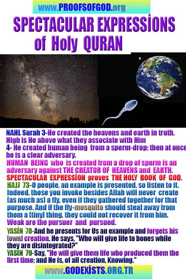 proofs of god, evidences of god, god-proofs, god-signs, god-evidences, god exists, god-real, god is real,god-exists, #god, #godreal, #godexists, #godproofs, #godevidences