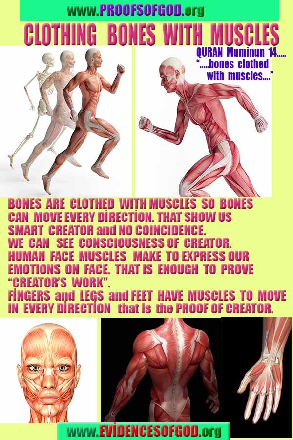 proofs of god, evidences of god, god-proofs, god-signs, god-evidences, god exists, god-real, god is real,god-exists, #god, #godreal, #godexists, #godproofs, #godevidences