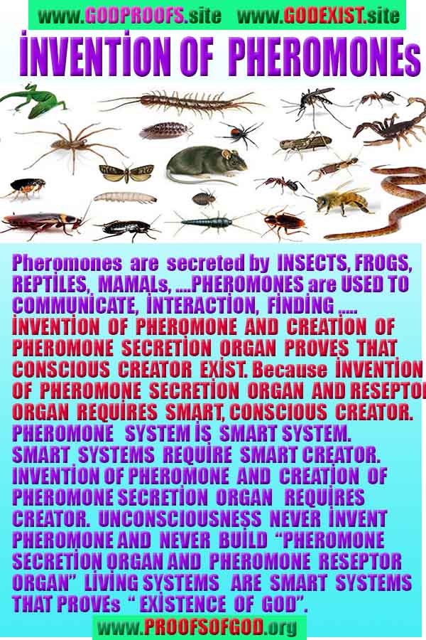 proofs of god, evidences of god, god-proofs, god-signs, god-evidences, god exists, god-real, god is real,god-exists, #god, #godreal, #godexists, #godproofs, #godevidences