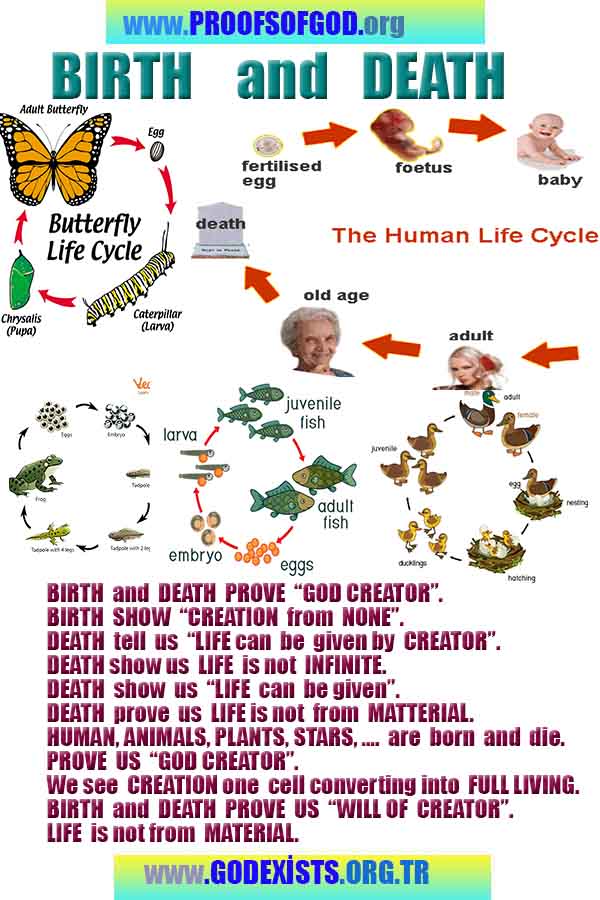 god proofs signs evidences, god exist, godreal, god is real, 上帝存在，上帝的证据，上帝的证据，上帝的迹象，
ईश्वर का अस्तित्व है, ईश्वर के प्रमाण, ईश्वर के प्रमाण, ईश्वर के लक्षण,
신은 존재한다, 신의 증거, 신의 증거, 신의 표징,
Бог существует, доказательства существования Бога, доказательства существования Бога, знаки Бога,
神は存在する、神の証拠、神の証拠、神のしるし