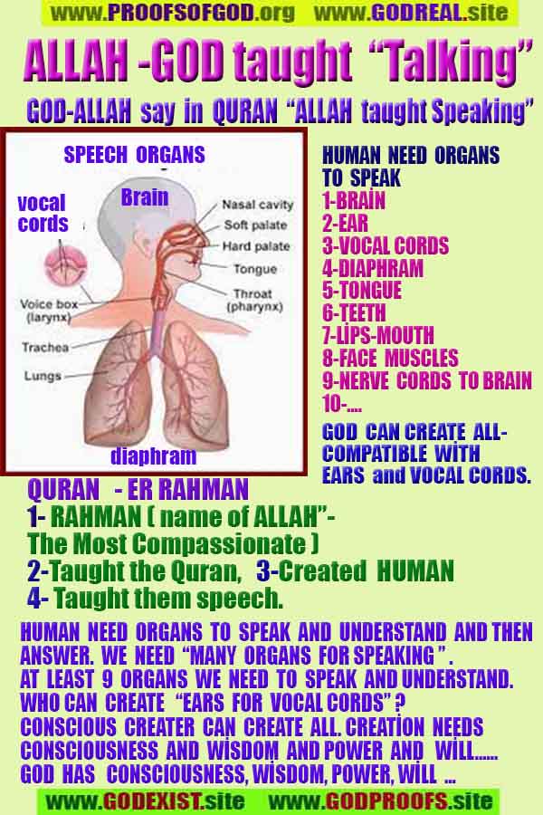 proofs of god, evidences of god, god-proofs, god-signs, god-evidences, god exists, god-real, god is real,god-exists, #god, #godreal, #godexists, #godproofs, #godevidences